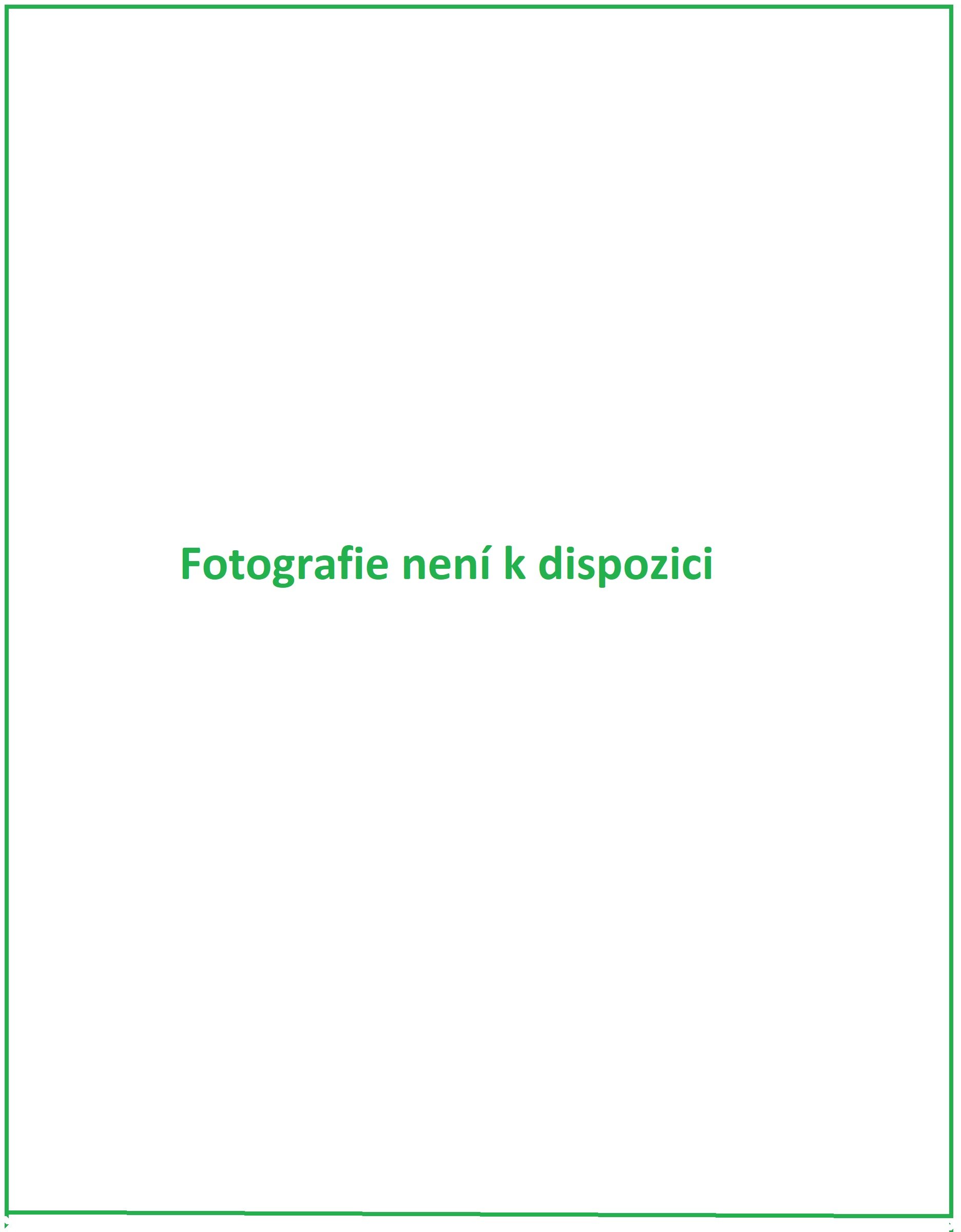 foto-se-pripravuje_2